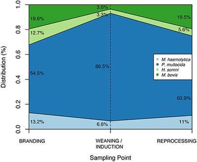 Prevalence, Risk Factors, and Antimicrobial Resistance Profile of Respiratory Pathogens Isolated From Suckling Beef Calves to <mark class="highlighted">Reprocessing</mark> at the Feedlot: A Longitudinal Study